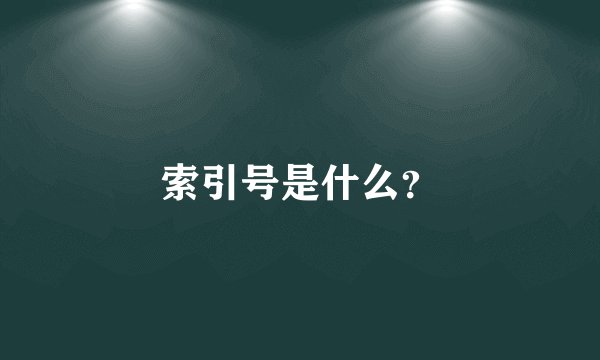 索引号是什么？