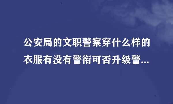 公安局的文职警察穿什么样的衣服有没有警衔可否升级警衔如果我现在是文职要考正式警察需要同过什么流程