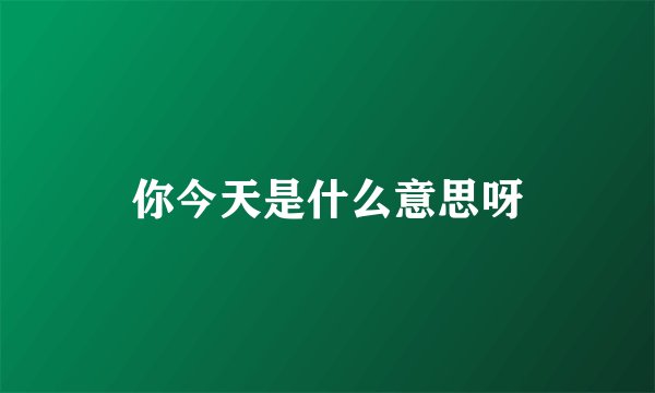 你今天是什么意思呀
