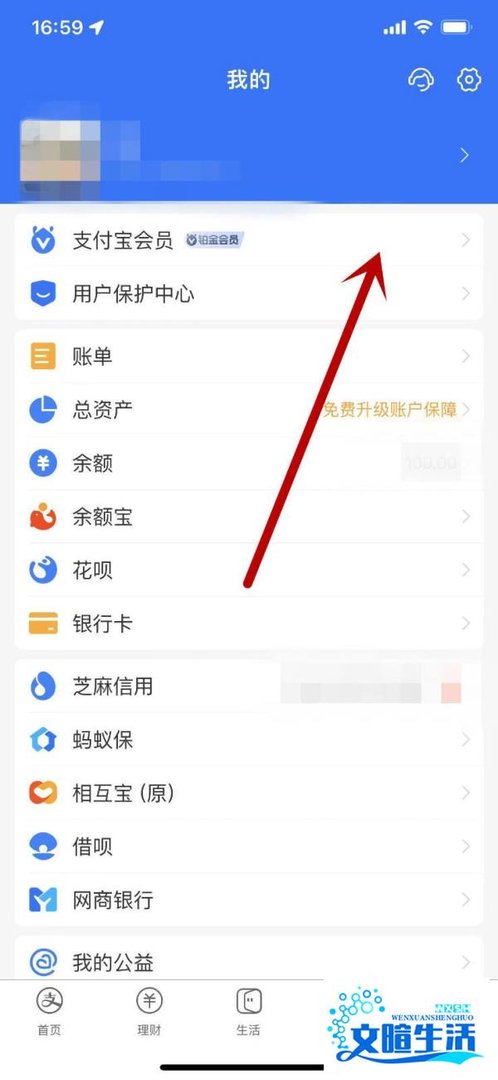 怎么查看自己的支付宝会员等级