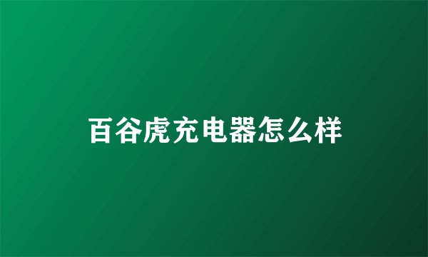 百谷虎充电器怎么样