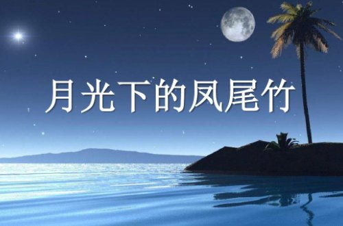 月光下的凤尾竹歌词