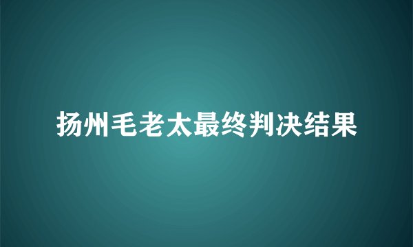 扬州毛老太最终判决结果