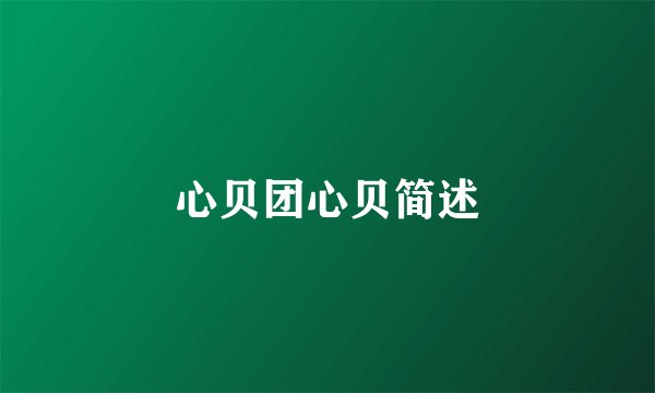 心贝团心贝简述