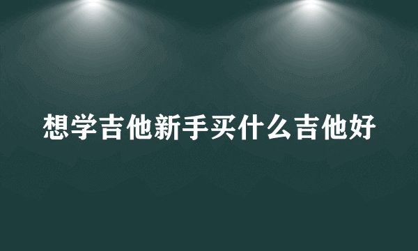 想学吉他新手买什么吉他好