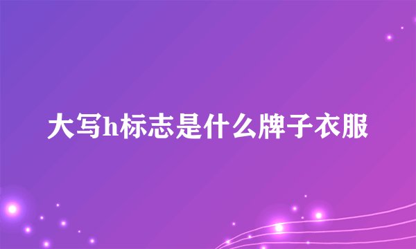 大写h标志是什么牌子衣服