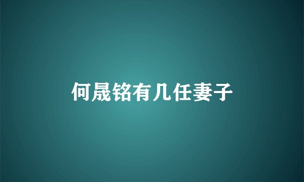 何晟铭有几任妻子