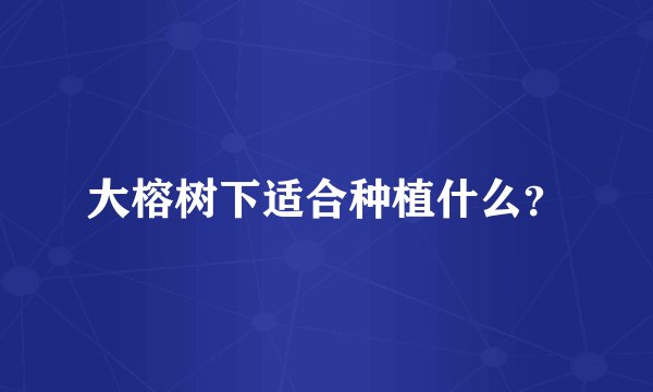 大榕树下适合种植什么？