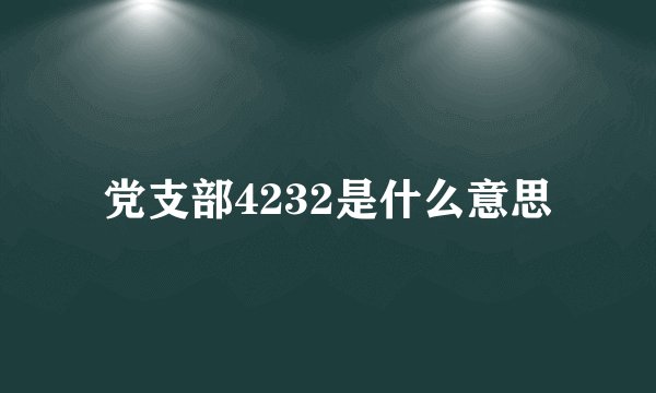 党支部4232是什么意思
