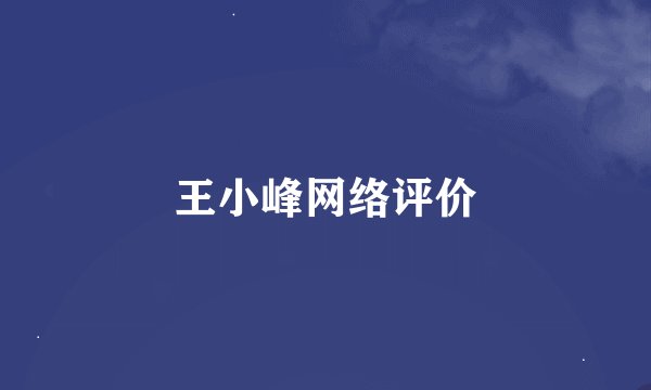 王小峰网络评价