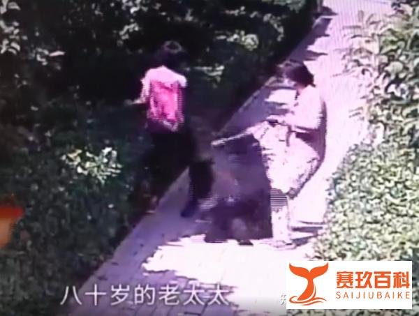 安阳狗咬人是怎么回事？王新刚是谁？小莉为什么哭了？