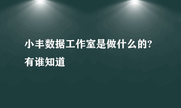 小丰数据工作室是做什么的?有谁知道