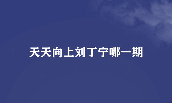 天天向上刘丁宁哪一期
