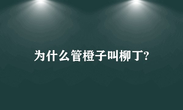 为什么管橙子叫柳丁?