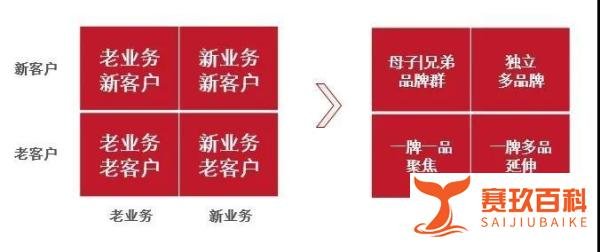 迈迪的品牌观 | 天地一盘棋：品牌布局=业务格局