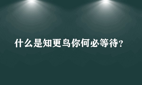 什么是知更鸟你何必等待？