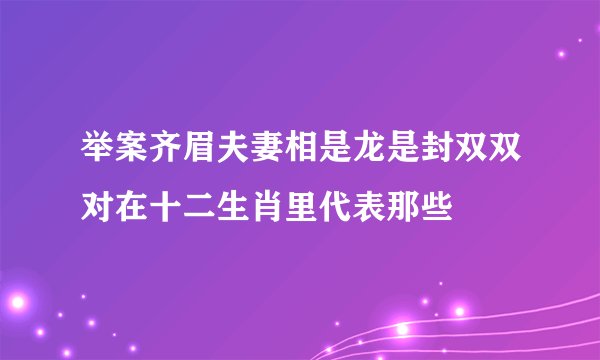举案齐眉夫妻相是龙是封双双对在十二生肖里代表那些