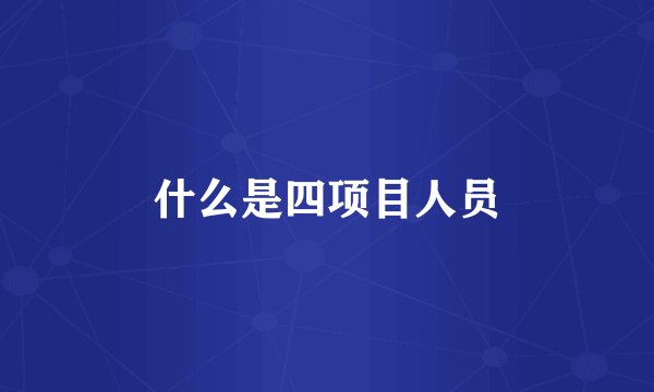 什么是四项目人员