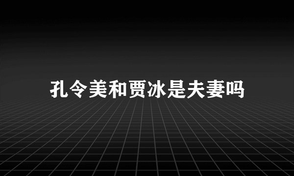 孔令美和贾冰是夫妻吗