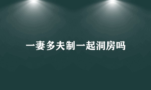 一妻多夫制一起洞房吗