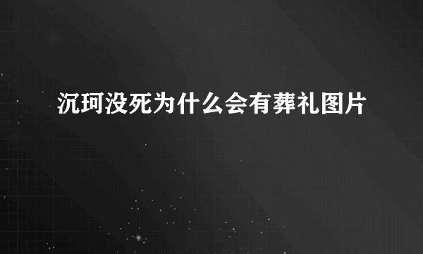 沉珂没死为什么会有葬礼图片
