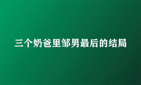 三个奶爸里邹男最后的结局