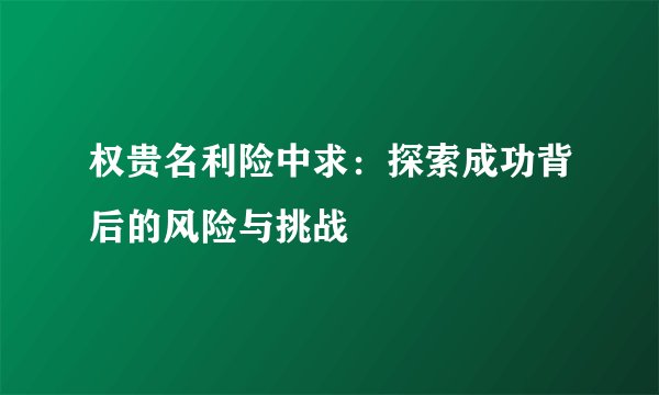 权贵名利险中求：探索成功背后的风险与挑战