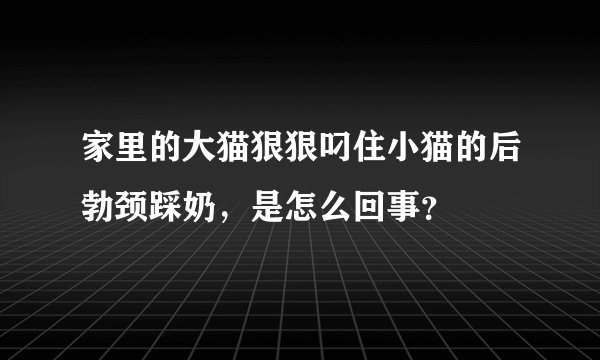 家里的大猫狠狠叼住小猫的后勃颈踩奶，是怎么回事？