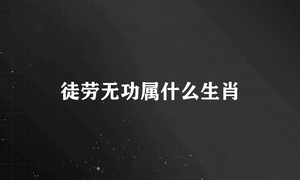 徒劳无功属什么生肖