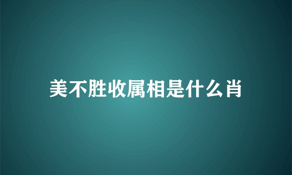 美不胜收属相是什么肖