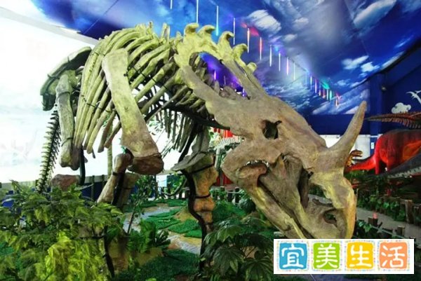 东诸城恐龙主题公园设计构思