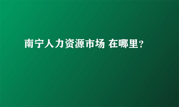 南宁人力资源市场 在哪里？