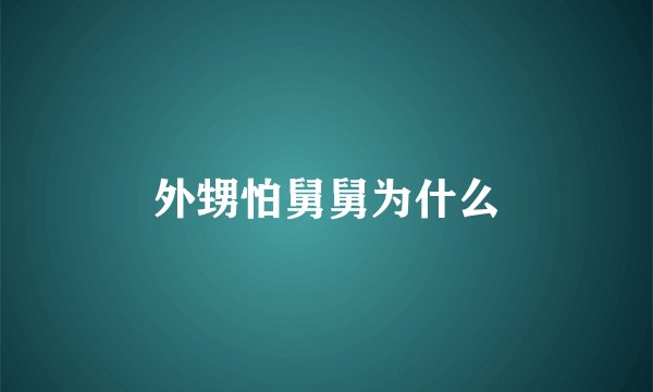 外甥怕舅舅为什么
