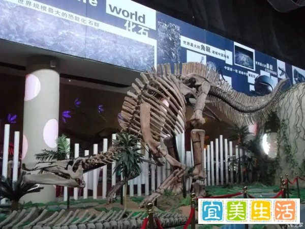 东诸城恐龙主题公园设计构思