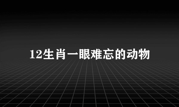 12生肖一眼难忘的动物