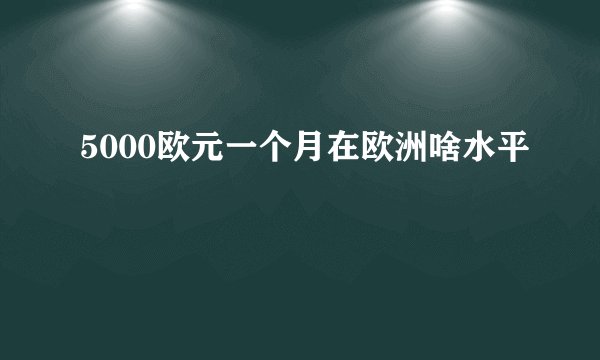 5000欧元一个月在欧洲啥水平
