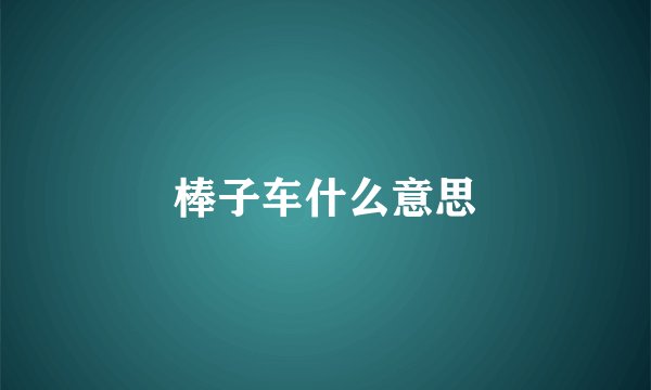 棒子车什么意思