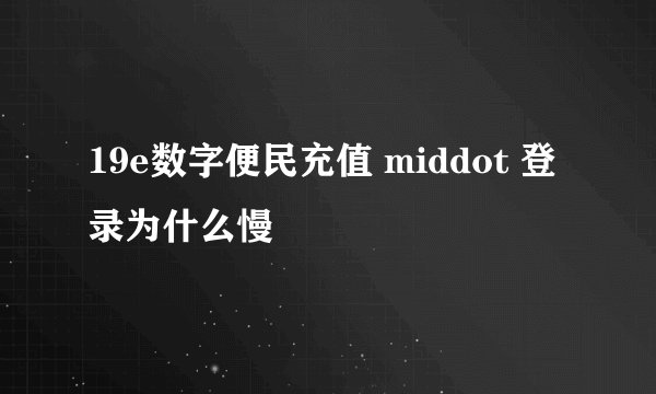 19e数字便民充值 middot 登录为什么慢