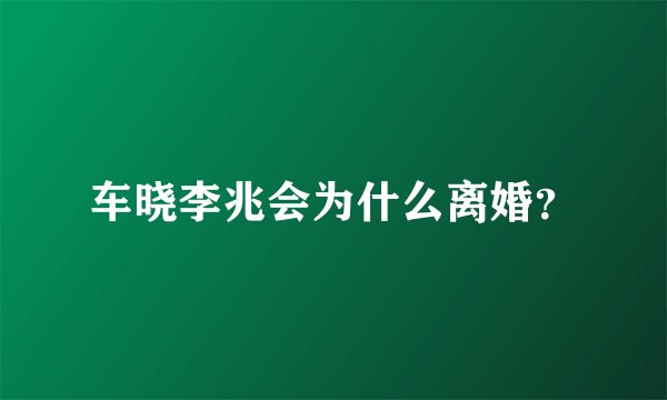 车晓李兆会为什么离婚？