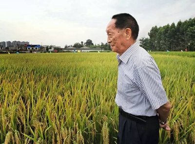 央媒评长沙“炊烟”碰瓷袁隆平，你对该事件有何看法？