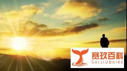 迈迪的品牌观 | 天地一盘棋：品牌布局=业务格局