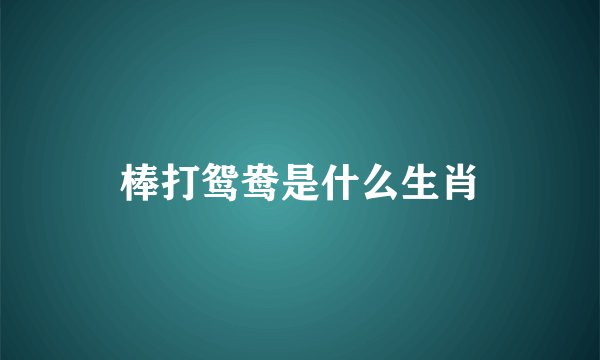 棒打鸳鸯是什么生肖