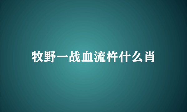 牧野一战血流杵什么肖