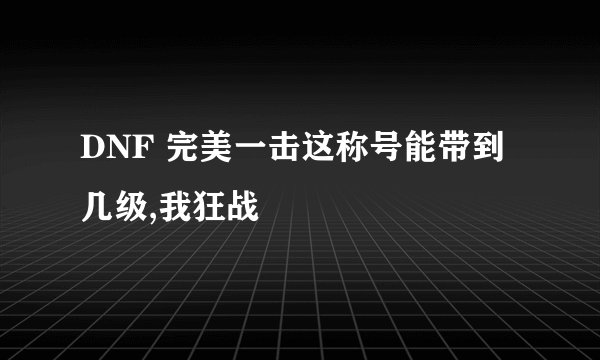 DNF 完美一击这称号能带到几级,我狂战