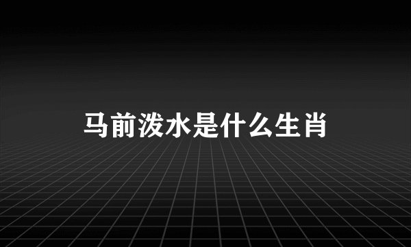 马前泼水是什么生肖