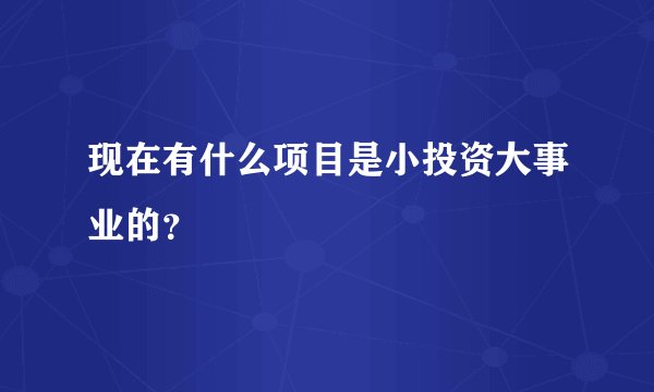 现在有什么项目是小投资大事业的？