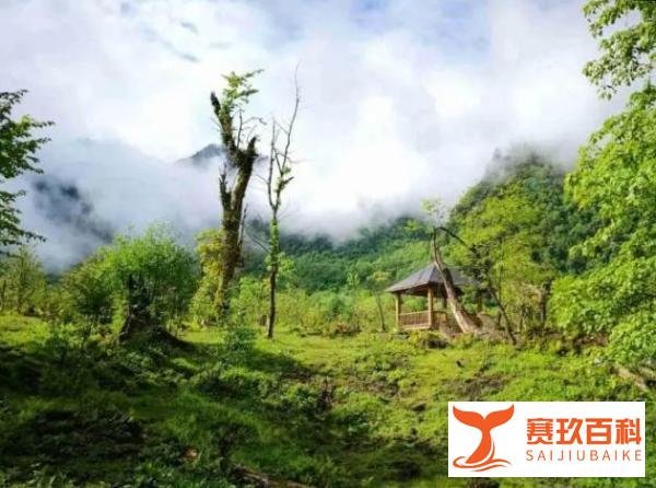 中国的处女地“魔鬼三角洲”