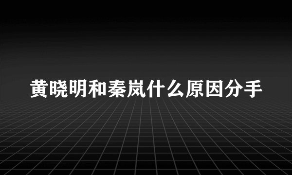 黄晓明和秦岚什么原因分手