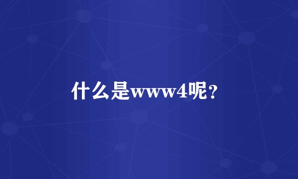 什么是www4呢？