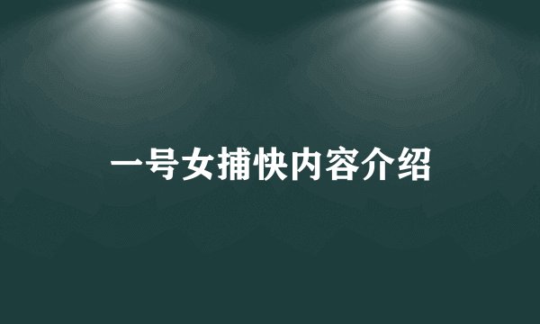 一号女捕快内容介绍